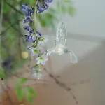 Costa Повуа-ди-Варзин